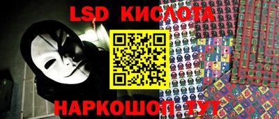PSILOCYBIN Сланцы