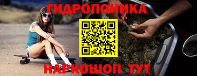 тгк Славгород