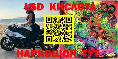 PSILOCYBIN Сланцы