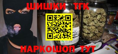 тгк Славгород