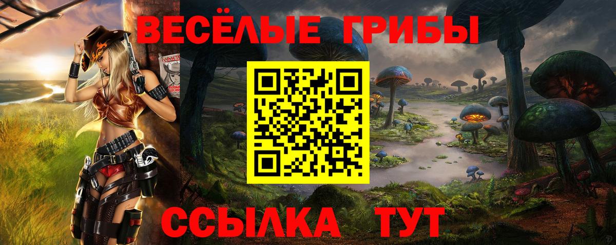 Псилоцибиновые грибы Psilocybine cubensis Новодвинск