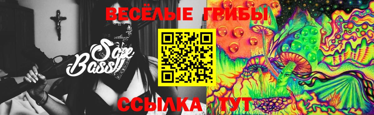 Псилоцибиновые грибы Psilocybe  Вход с VPN  Новодвинск 