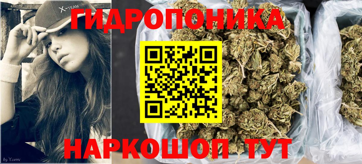 Бошки марихуана White Widow  Конопля VHQ  Конопля MAZAR  Вход с VPN  Новодвинск 